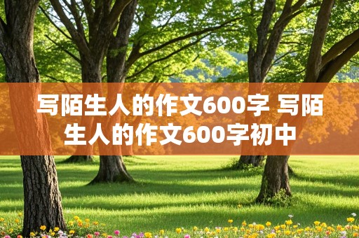 写陌生人的作文600字 写陌生人的作文600字初中