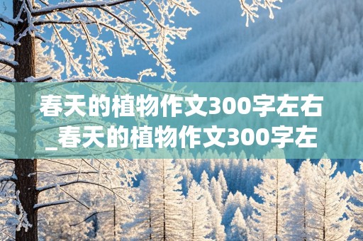 春天的植物作文300字左右_春天的植物作文300字左右三年级