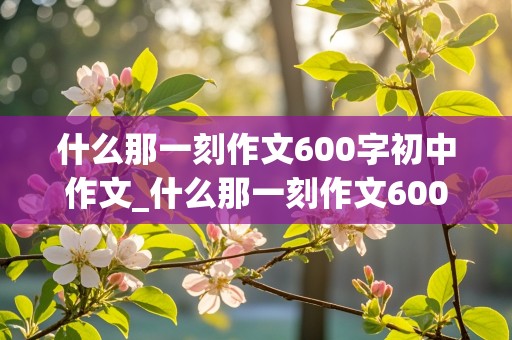 什么那一刻作文600字初中作文_什么那一刻作文600字初中作文免费