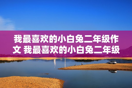 我最喜欢的小白兔二年级作文 我最喜欢的小白兔二年级作文100字