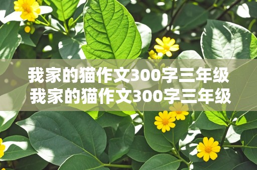 我家的猫作文300字三年级 我家的猫作文300字三年级上册