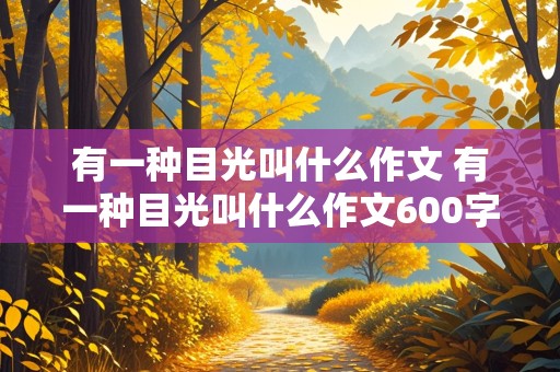 有一种目光叫什么作文 有一种目光叫什么作文600字