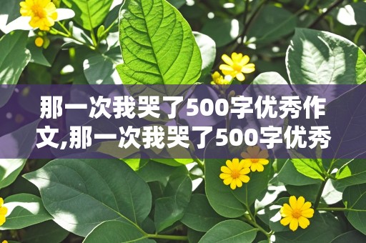 那一次我哭了500字优秀作文,那一次我哭了500字优秀作文六年级