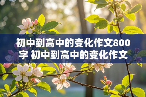 初中到高中的变化作文800字 初中到高中的变化作文800字怎么写