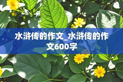 水浒传的作文_水浒传的作文600字