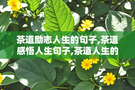 茶道励志人生的句子,茶道感悟人生句子,茶道人生的句子