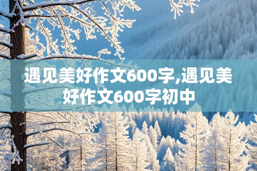 遇见美好作文600字,遇见美好作文600字初中