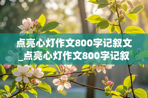 点亮心灯作文800字记叙文_点亮心灯作文800字记叙文老师