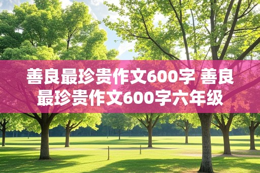 善良最珍贵作文600字 善良最珍贵作文600字六年级