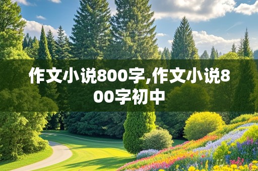 作文小说800字,作文小说800字初中