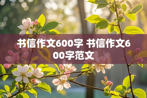 书信作文600字 书信作文600字范文