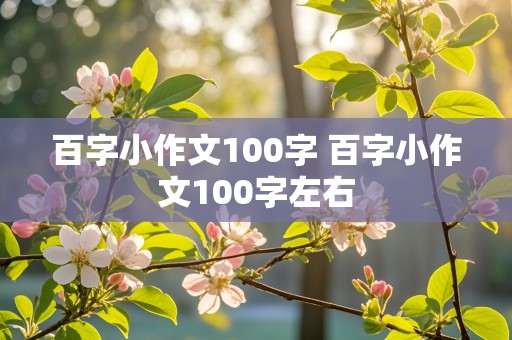 百字小作文100字 百字小作文100字左右