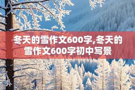 冬天的雪作文600字,冬天的雪作文600字初中写景