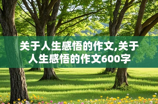 关于人生感悟的作文,关于人生感悟的作文600字