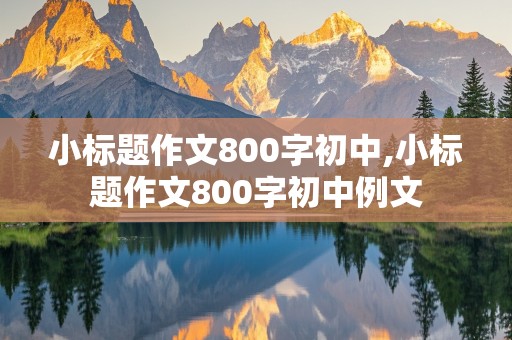 小标题作文800字初中,小标题作文800字初中例文