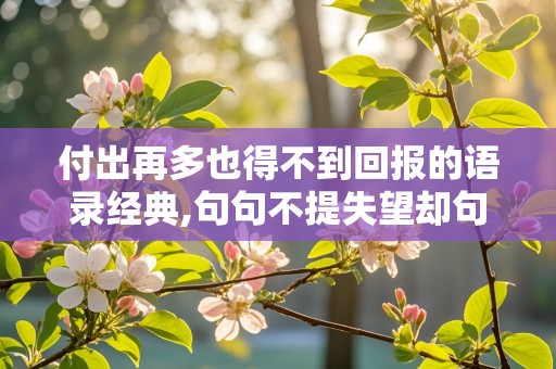 付出再多也得不到回报的语录经典,句句不提失望却句句失望