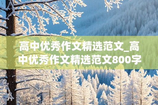 高中优秀作文精选范文_高中优秀作文精选范文800字