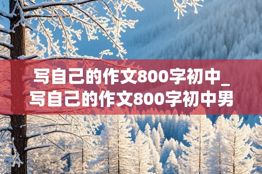 写自己的作文800字初中_写自己的作文800字初中男生