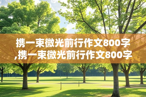 携一束微光前行作文800字,携一束微光前行作文800字记叙文