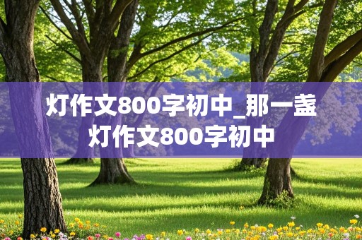 灯作文800字初中_那一盏灯作文800字初中