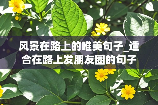 风景在路上的唯美句子_适合在路上发朋友圈的句子