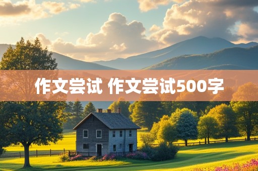 作文尝试 作文尝试500字