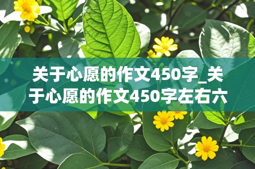 关于心愿的作文450字_关于心愿的作文450字左右六年级