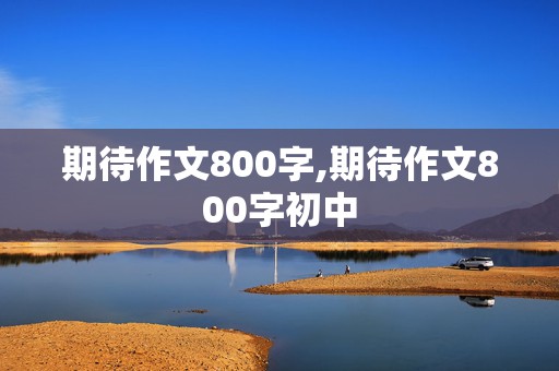 期待作文800字,期待作文800字初中