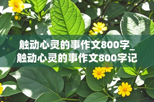 触动心灵的事作文800字_触动心灵的事作文800字记叙文