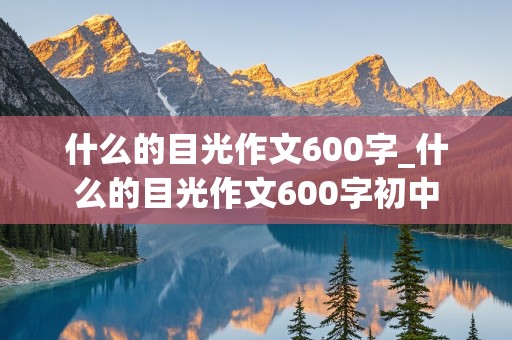 什么的目光作文600字_什么的目光作文600字初中