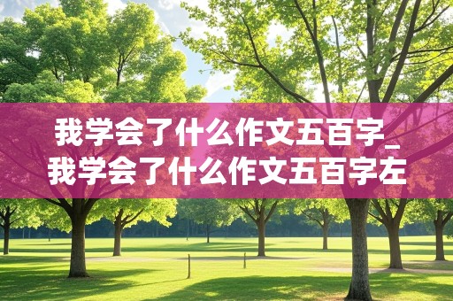 我学会了什么作文五百字_我学会了什么作文五百字左右