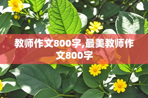 教师作文800字,最美教师作文800字