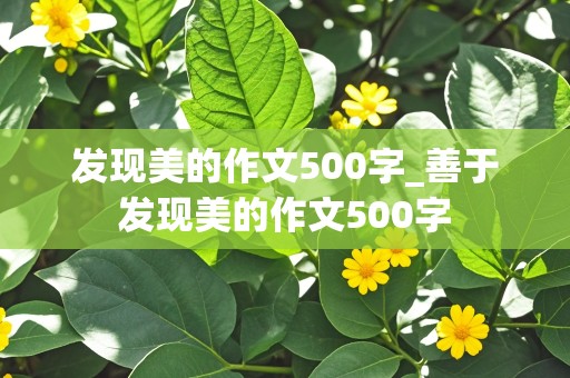 发现美的作文500字_善于发现美的作文500字