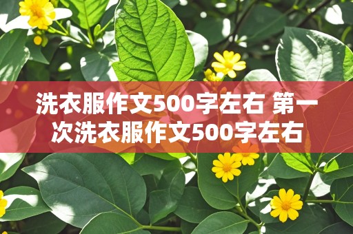 洗衣服作文500字左右 第一次洗衣服作文500字左右