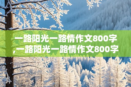 一路阳光一路情作文800字,一路阳光一路情作文800字初中