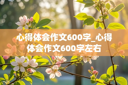 心得体会作文600字_心得体会作文600字左右