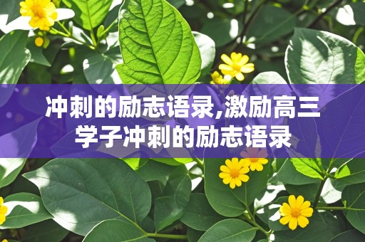 冲刺的励志语录,激励高三学子冲刺的励志语录