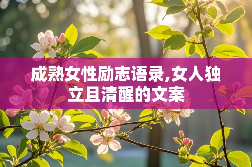 成熟女性励志语录,女人独立且清醒的文案