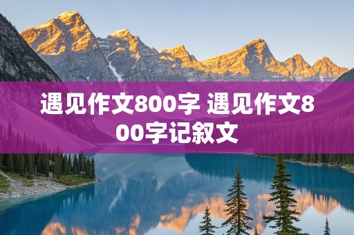 遇见作文800字 遇见作文800字记叙文