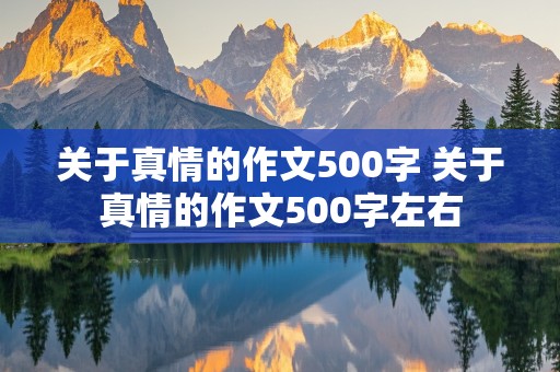 关于真情的作文500字 关于真情的作文500字左右