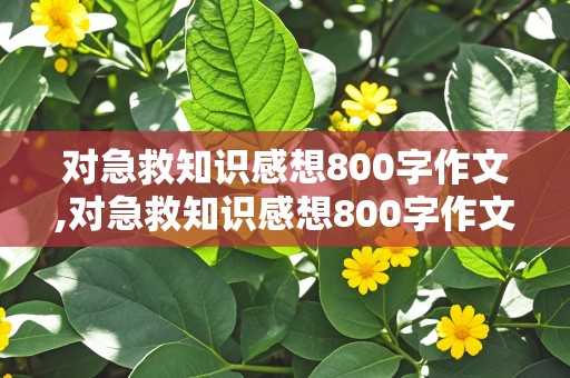 对急救知识感想800字作文,对急救知识感想800字作文怎么写