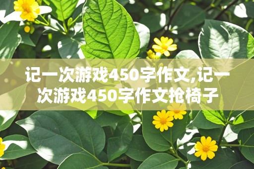 记一次游戏450字作文,记一次游戏450字作文抢椅子