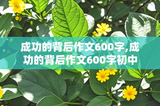 成功的背后作文600字,成功的背后作文600字初中