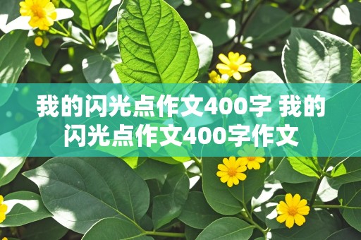 我的闪光点作文400字 我的闪光点作文400字作文