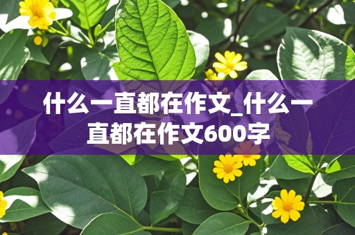 什么一直都在作文_什么一直都在作文600字