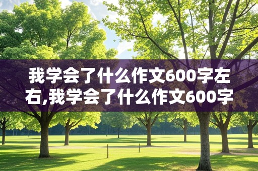 我学会了什么作文600字左右,我学会了什么作文600字左右初一