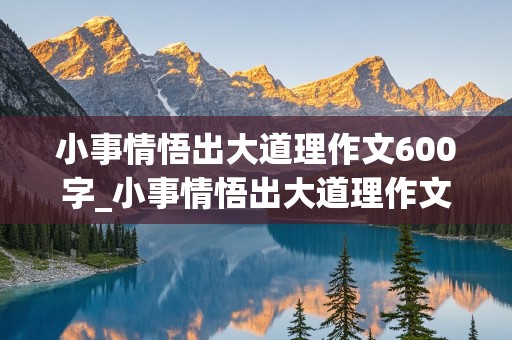 小事情悟出大道理作文600字_小事情悟出大道理作文600字怎么写