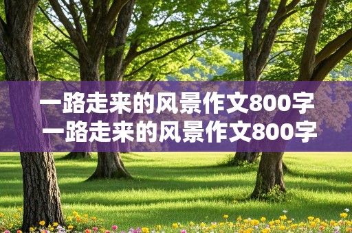 一路走来的风景作文800字 一路走来的风景作文800字怎么写