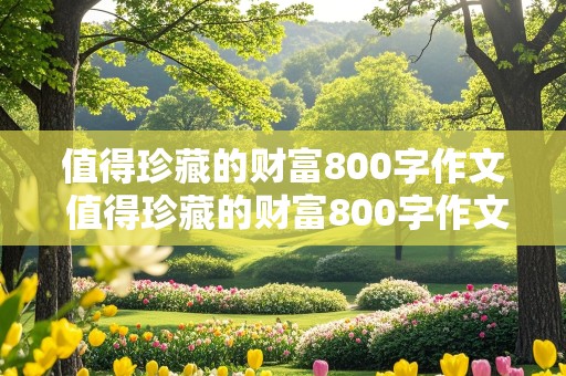 值得珍藏的财富800字作文 值得珍藏的财富800字作文记叙文