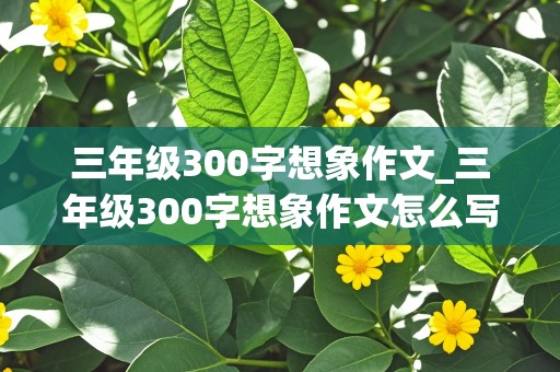 三年级300字想象作文_三年级300字想象作文怎么写